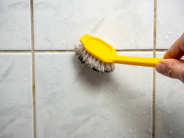 Reliable Holly Springs, GA Mold Removal Solutions