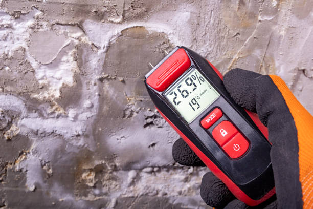Mold Removal Process in Holly Springs, GA